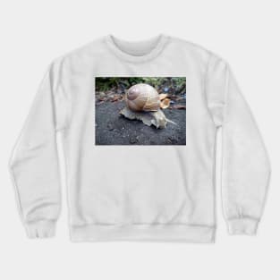 or? Crewneck Sweatshirt